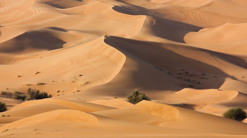 CLIMA EMIRADOS ARABES UNIDOS