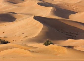 CLIMA EMIRADOS ARABES UNIDOS