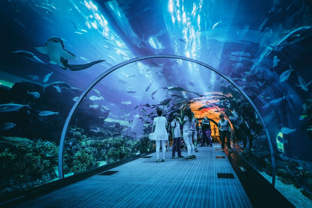 Dubai Aquarium