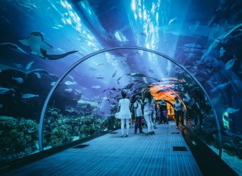 Dubai Aquarium