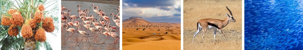 Natureza dos Emirados Árabes Unidos